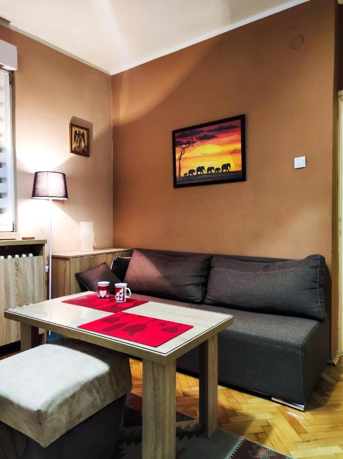 Iva Centar Appartement Valjevo Buitenkant foto