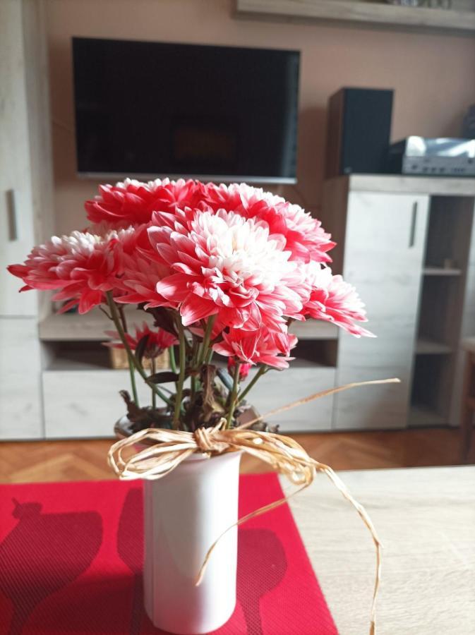 Iva Centar Appartement Valjevo Buitenkant foto